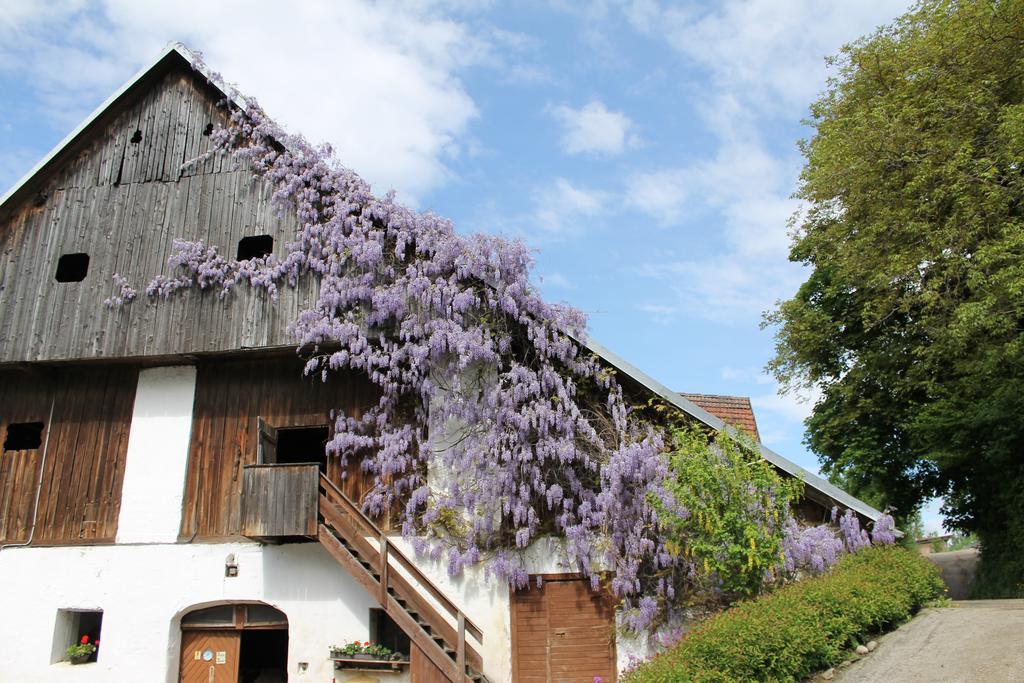 Pension Neuhof Ossiach Luaran gambar