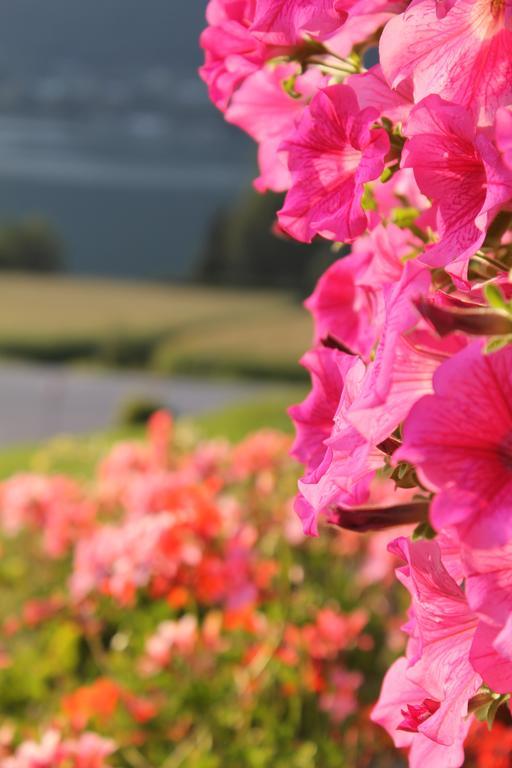 Pension Neuhof Ossiach Luaran gambar